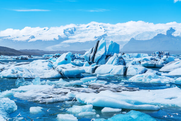 氷河に潜む14万年前のウィルス