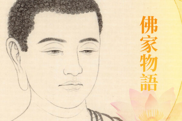 【佛家物語】菩提樹ってどんな木？