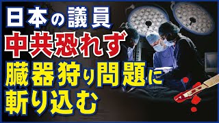 日本の議員、中共恐れず、臓器狩り問題に斬り込む。