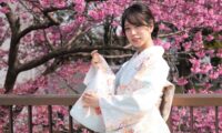 「すみだ川 今昔」 東京・隅田公園の桜　