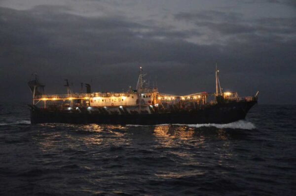 インド洋でマグロを不正に運搬している中国船を発見