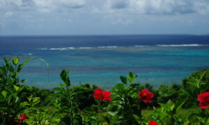 沖縄・奄美が世界自然遺産登録　「箱船のよう」小泉環境相が談話で多様性語る　