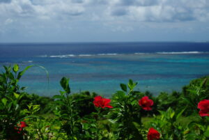 沖縄・奄美が世界自然遺産登録　「箱船のよう」小泉環境相が談話で多様性語る　