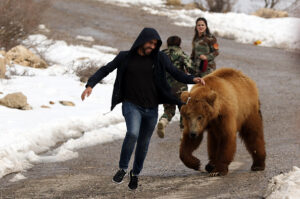 『写真で一言』救出したクマと遊ぶクルド人男性