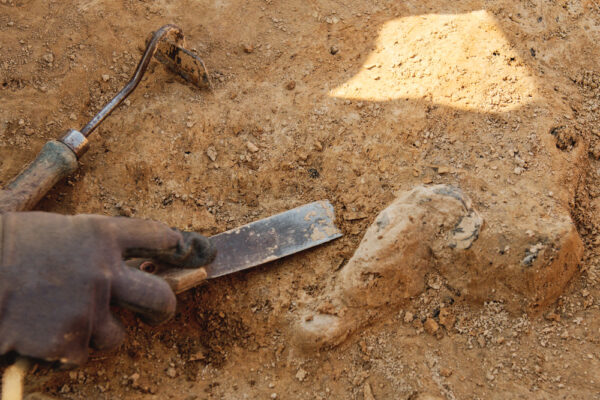 先史文化か？スペインで5千年前の精巧な水晶製の短剣が発見