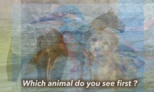 写真の中にどんな動物が見える？ 　目に映る動物であなたのキャラが決まる