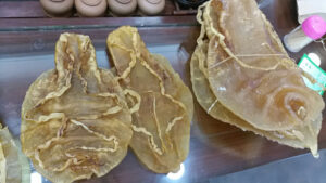 「海のコカイン」絶滅危惧の魚の浮袋、密輸容疑で中国人2人逮捕＝米国カリフォルニア