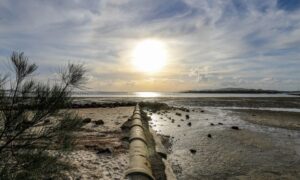 蘇った先人の知恵　漂着ゴミにオーストラリアで画期的な取り組み