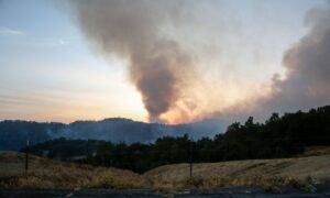 【写真】ワイン産地直撃　カリフォルニア州で大規模な野火　17人死亡、180人行方不明
