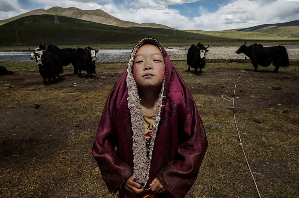 「チベット文化は風前のともしび」中国共産党による民族同化政策で