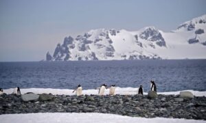 地球上で最も寒い南極　史上2番目に寒い冬を観測