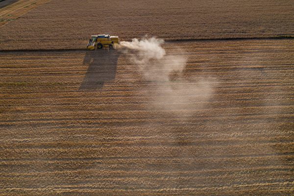 ウクライナ侵攻で「世界は食糧危機に直面」 肥料会社が警告