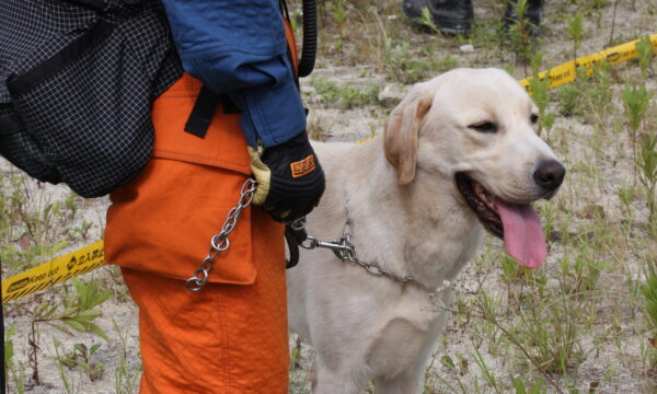 日本の土砂災害で、救助犬の懸命な姿に多くの人々が感動