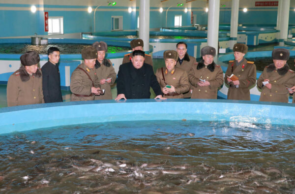 北朝鮮の海産物、「中国産」で世界に流通