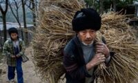 中国で激増する自殺者は「生活できない老人」　貧困に沈む大国（3）