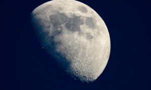 月と生命現象との関連