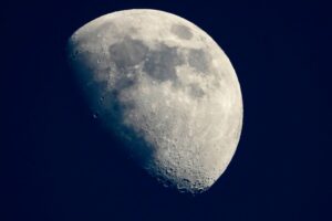 月と生命現象との関連