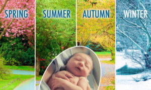 春夏秋冬　どの季節で生まれたかがあなたの健康を左右する？！