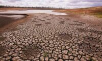 干ばつの豪州、中国企業が地下水を汲み上げ　数週間で枯渇