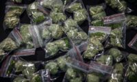 米国大麻合法化の影で「脱法」探る　中国人の大麻事業者