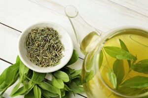 「緑茶はワクチンに似ている？」カテキンが免疫力を高め、寿命を延ばします