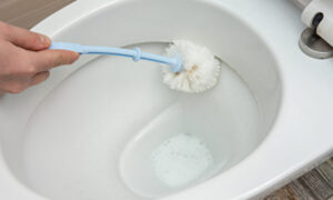 トイレの臭いには原因が　においや汚れを落とす3つのクリーニングポイント