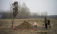 墓地賃借の廃止、自然葬は2020年に半数＝北京