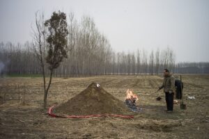 墓地賃借の廃止、自然葬は2020年に半数＝北京