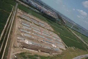 35万頭のブタの死骸が埋まる村　悪臭に耐えられず住民が抗議＝江蘇省