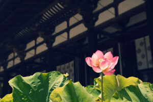 玄奘三蔵　唐太宗から宮殿を与えられ仏典を翻訳する