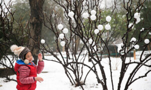 「汚い雪で遊ばないで」北京当局が警告