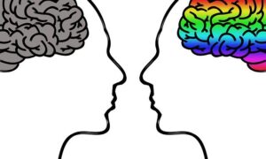 心理学者がみる右脳と左脳の特徴とは？