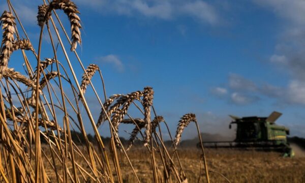 輸入小麦、17％値上げで過去2番目の高値
先物相場も最高値更新