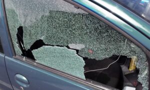 非常に暑い車内から犬を救うため窓を粉砕