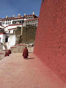 チベットの光 （5） 悲劇の始まり