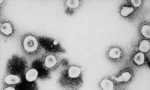 米研究者、中共ウイルスの空気感染の可能性を示唆