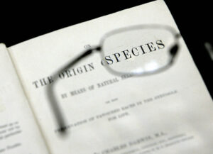 花咲く植物まで…進化は長らく停滞　進化論に疑問投げかける＝サイエンス誌