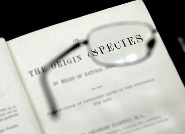 花咲く植物まで…進化は長らく停滞　進化論に疑問投げかける＝サイエンス誌