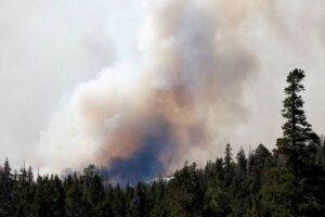 米大統領、カリフォルニア州の災害宣言を承認　山火事で