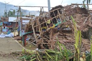 フィリピン中部襲った強力台風、ボホール州で死者72人