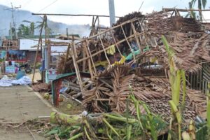フィリピン、台風22号で深刻な被害　死者208人＝警察