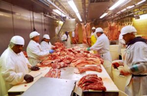 インド、米産豚肉の輸入受け入れで合意＝米高官
