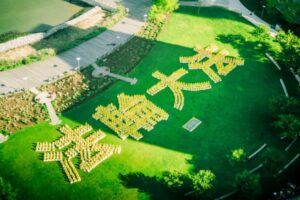 5.13祝賀イベント　千人で「法輪大法」人文字＝米NY