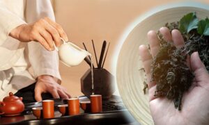伝統の中国茶　驚きの解毒効果