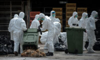 中国湖南省、H5N1鳥インフルエンザが発生　