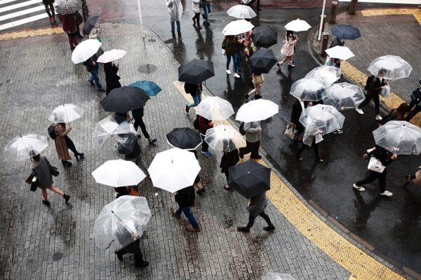 西日本から北日本にかけて　20日、落雷や突風、激しい雨に注意＝気象庁