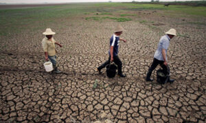 中国、土壌汚染深刻化で食糧自給率が低下＝報道