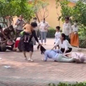 北京の動物園で客同士が殴り合い、園側の虚構声明が話題に「動物もケンカを真似した」