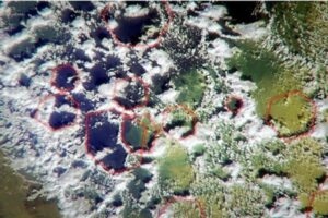 バミューダ諸島の謎ついに解明か