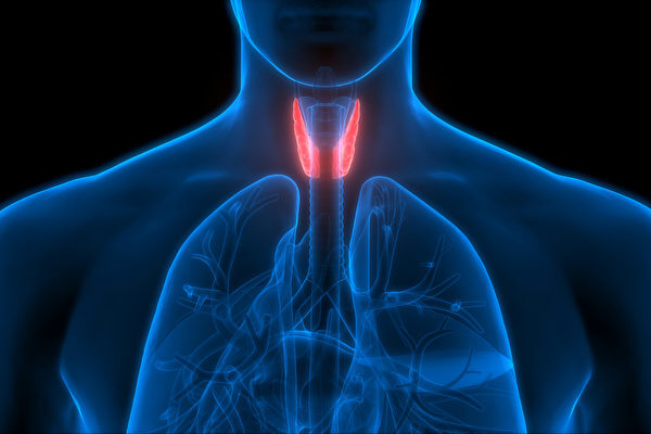 忍び寄る甲状腺機能の低下「10種の予兆を見落とさないで！」